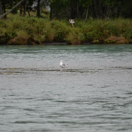 Salmon Catcher Lodge Kenai Bagian luar foto